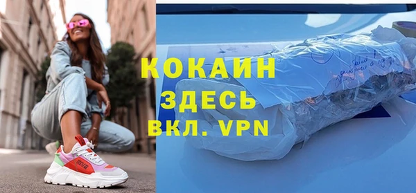 молекула духа Бородино