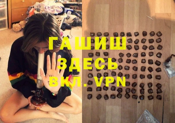 молекула духа Бородино