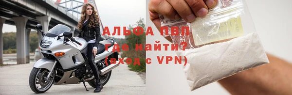 молекула духа Бородино