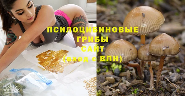 молекула духа Бородино
