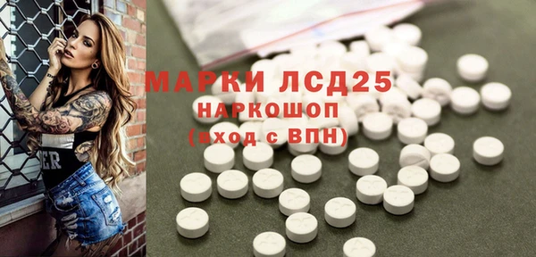 молекула духа Бородино