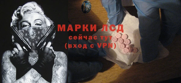 молекула духа Бородино