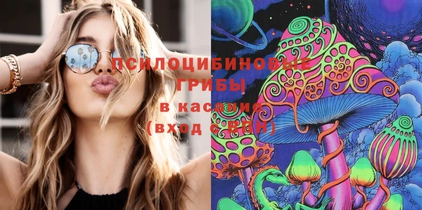 молекула духа Бородино