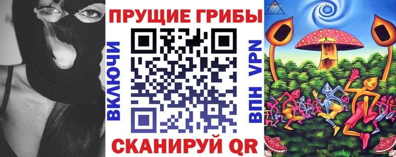 купить наркоту  Ильский  Галлюциногенные грибы Cubensis 